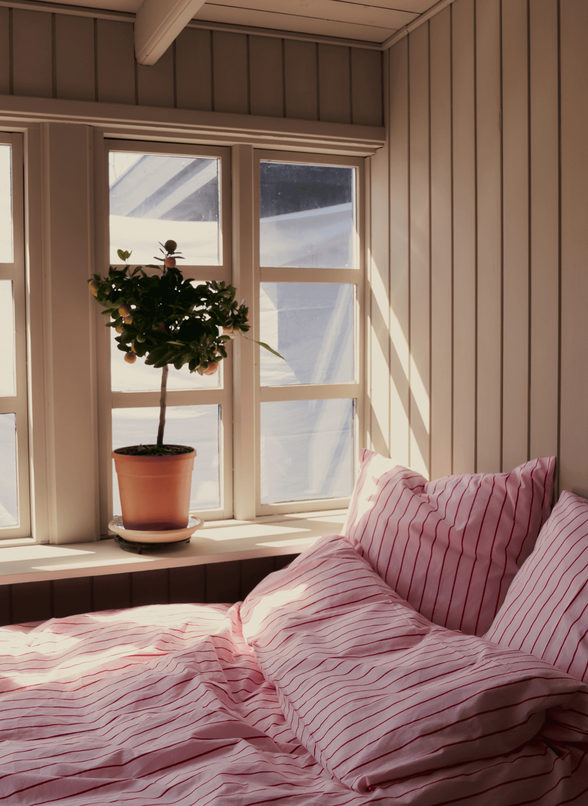 Bongusta Percale Bettwäsche Set Rosa & Rot - hei-kju